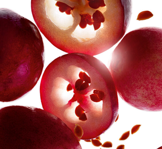 Canneberge-Huile de canneberge bio-Vaccinium macrocarpon (cranberry) seed oil