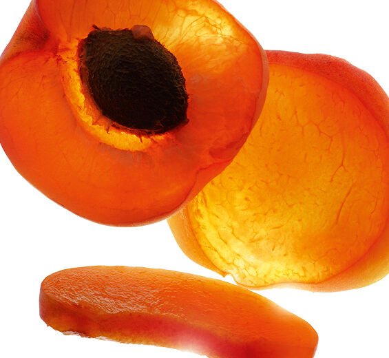 Abricotier-Huile d'abricot bio-Prunus armeniaca (apricot) kernel oil