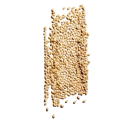 Sésame-Huile de sésame bio-Sesamum indicum (sesame) seed oil