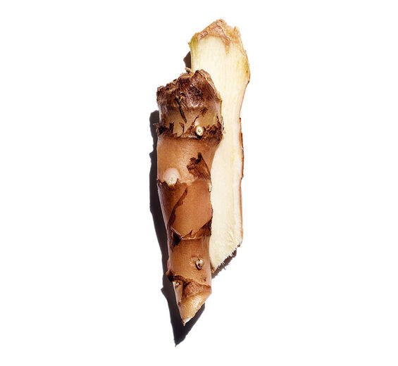 Gingembre papillon-Extrait de gingembre papillon (plante bio)-Hedychium coronarium root extract