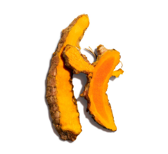 Curcuma-Extrait de curcuma-Curcuma longa (turmeric) root extract