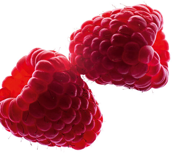 Framboisier-Eau de framboise bio-Rubus idaeus (raspberry) fruit water