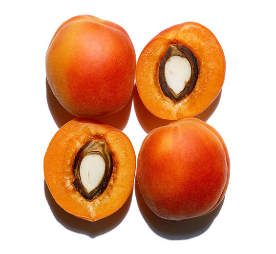 Abricotier-Huile d'abricot bio-Prunus armeniaca (apricot) kernel oil