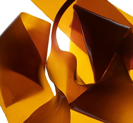 Laminaire-Extrait de laminaire-Laminaria digitata extract