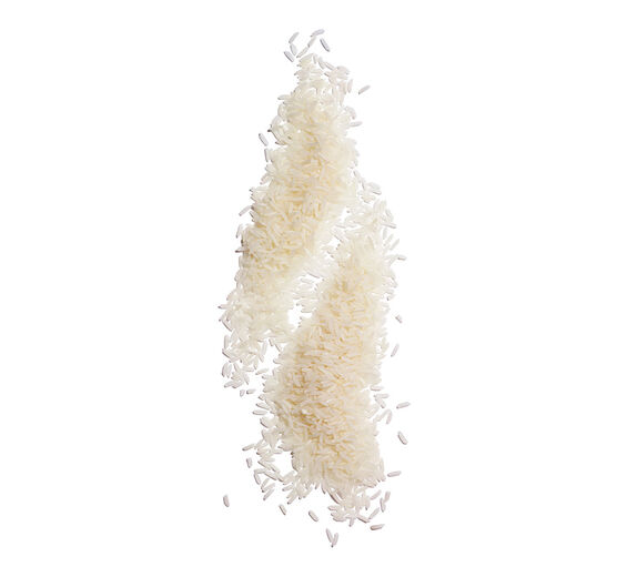 Riz-Poudre de riz-Oryza sativa (rice) starch