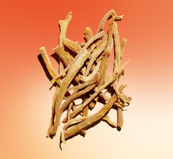 Ginseng-Extrait de ginseng rouge bio-Panax ginseng root extract