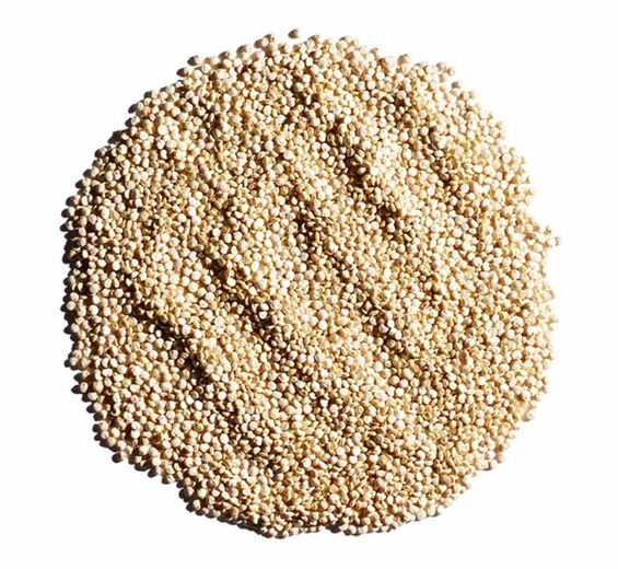 Quinoa-Extrait de quinoa bio-Chenopodium quinoa seed extract