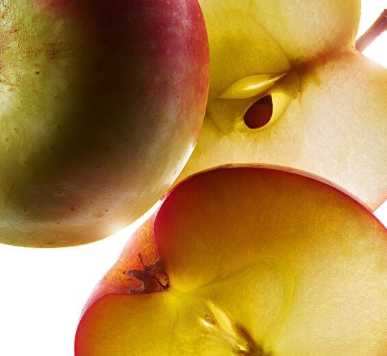 Pommier-Extrait de petite pomme bio-Malus Domestica Fruit Extract