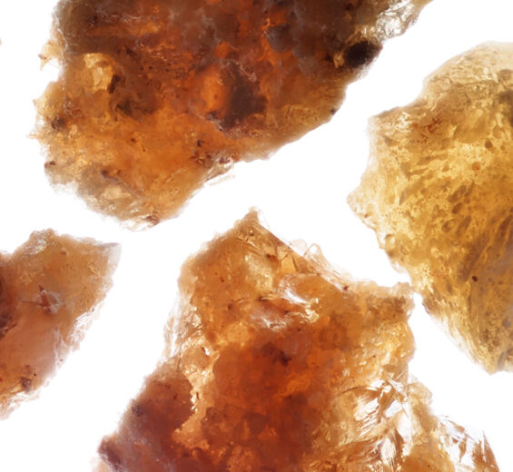 Acacia Sénégal-Micro-perles d’acacia-Acacia Senegal gum
