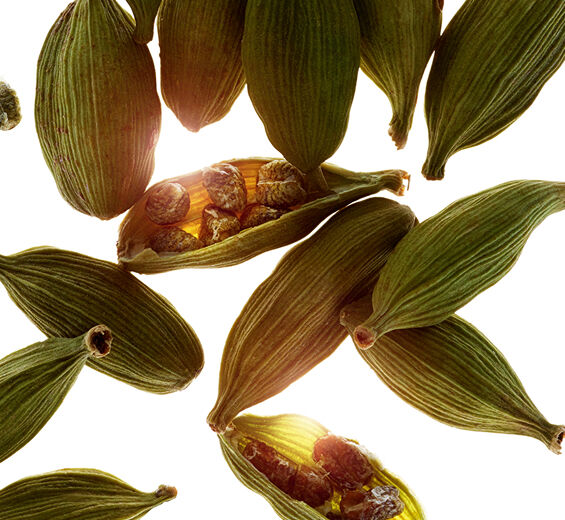 Cardamome-Huile essentielle de cardamome-Elettaria cardamomum seed oil