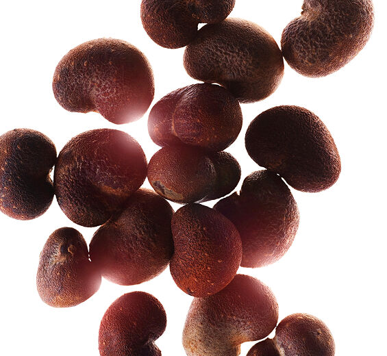 Baobab-Huile de baobab bio-Adansonia digitata seed oil