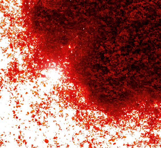 Paprika -Extrait de paprika-Capsicum annuum fruit extract