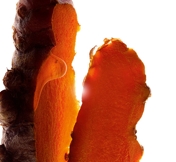 Curcuma-Extrait de curcuma-Curcuma longa (turmeric) root extract