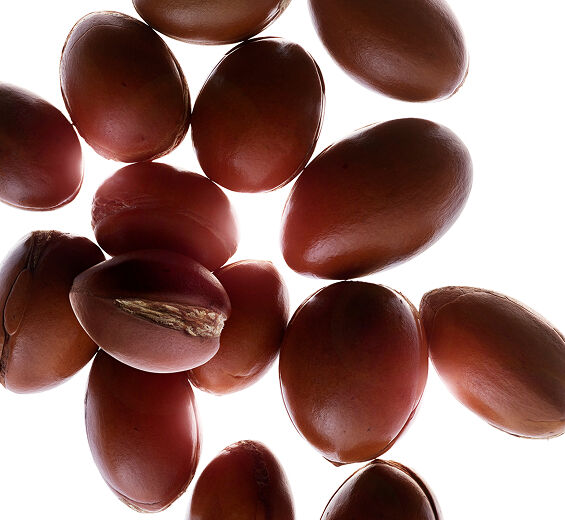 Arganier-Huile d’argan bio-Argania spinosa kernel oil