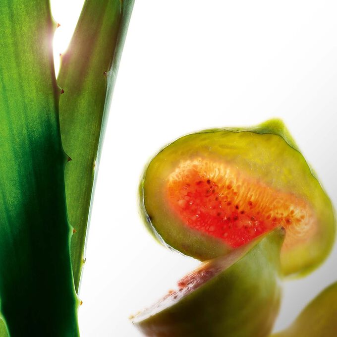 Lotion Tonique Hydratante