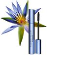 Mascara Waterproof noir​ - Wonder Perfect 4D