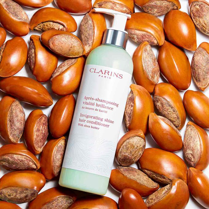 Après-Shampooing Vitalité Brillance
