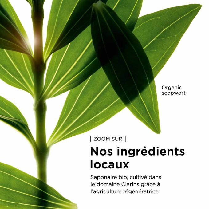 Extrait de grande astrance bio issue de sources responsables pour nos soins corps Tonic, afin de soutenir les pratiques de beaut&eacute; durables.