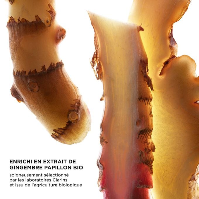 Focus sur les tranches de gingembre, mettant en &eacute;vidence les ingr&eacute;dients cl&eacute;s de UV Protect, soigneusement s&eacute;lectionn&eacute;s par les laboratoires Clarins et issu de sources durables.