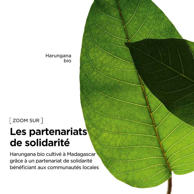 Extraits de plantes bio issus de sources responsables qui soutiennent les communaut&eacute;s pour notre s&eacute;rum remodelant anti-taches.