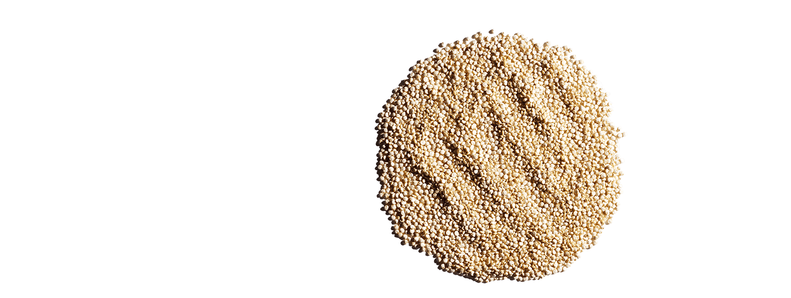 Quinoa bio