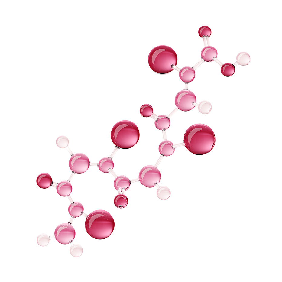 Tétrapeptide anti-âge