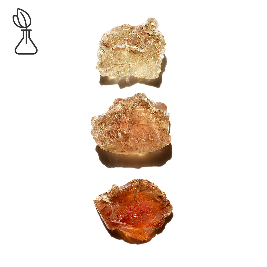 Acacia Sénégal-Micropatch vegetal-Acacia Senegal gum