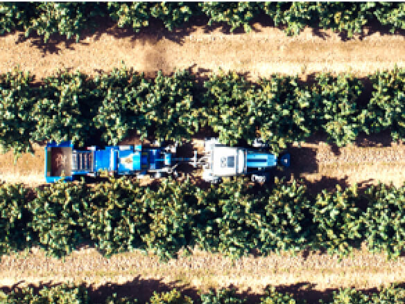 Illustration TRUST plateforme de traçabilité des produits Clarins