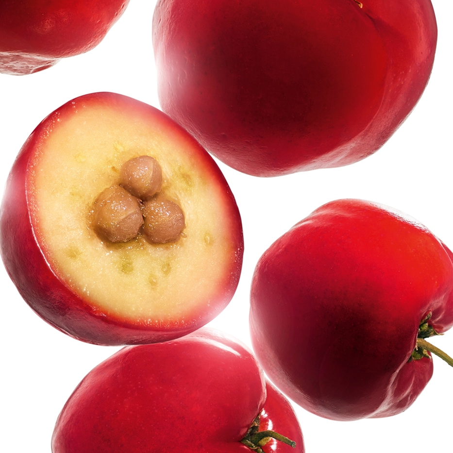 Acérola-Extrait d'acerola-Malpighia emarginata (acerola) fruit extract