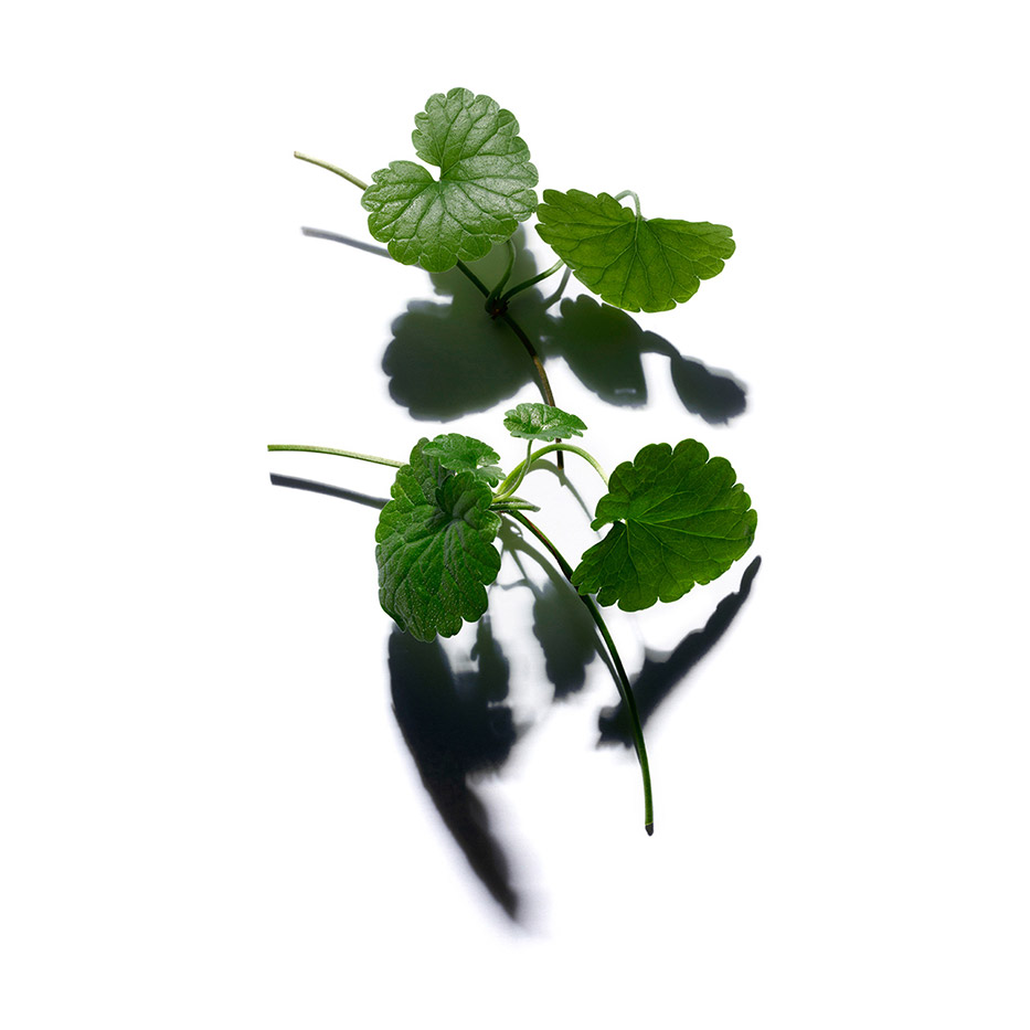 soin complet spécial vergetures