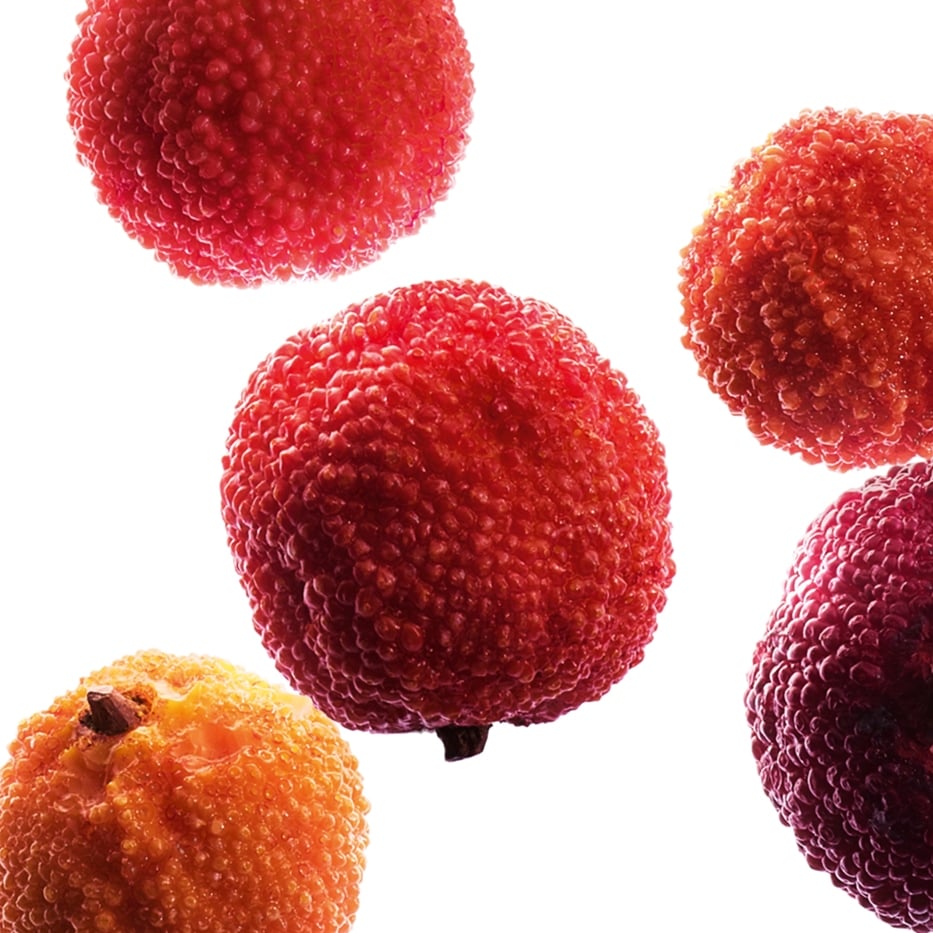 Arbousier-Extrait d’arbouse bio-Arbutus unedo fruit extract