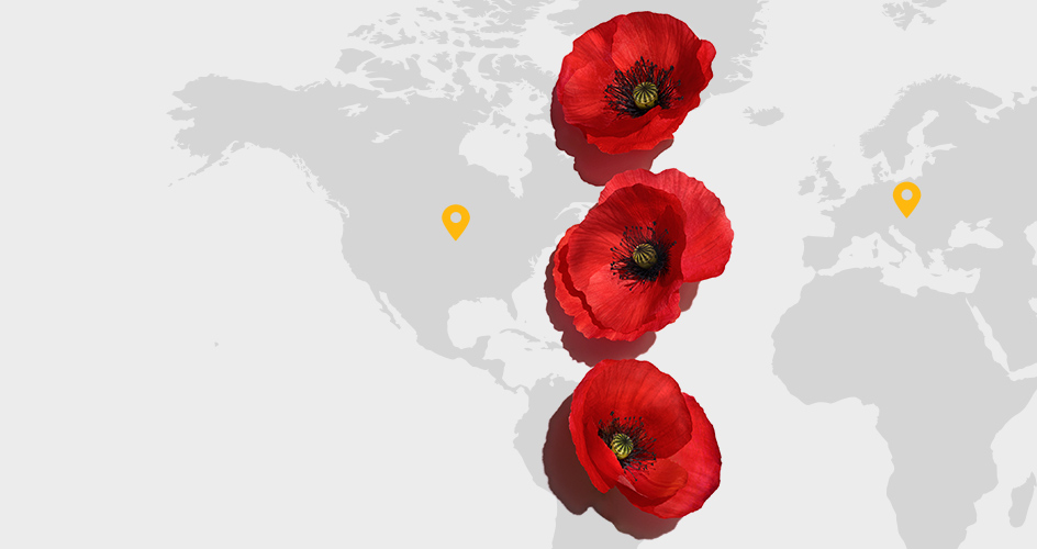 Coquelicot