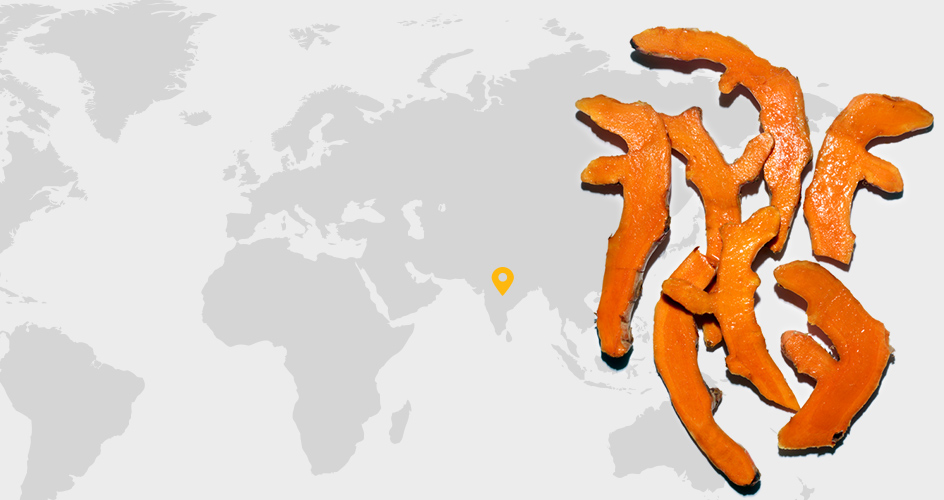 Curcuma