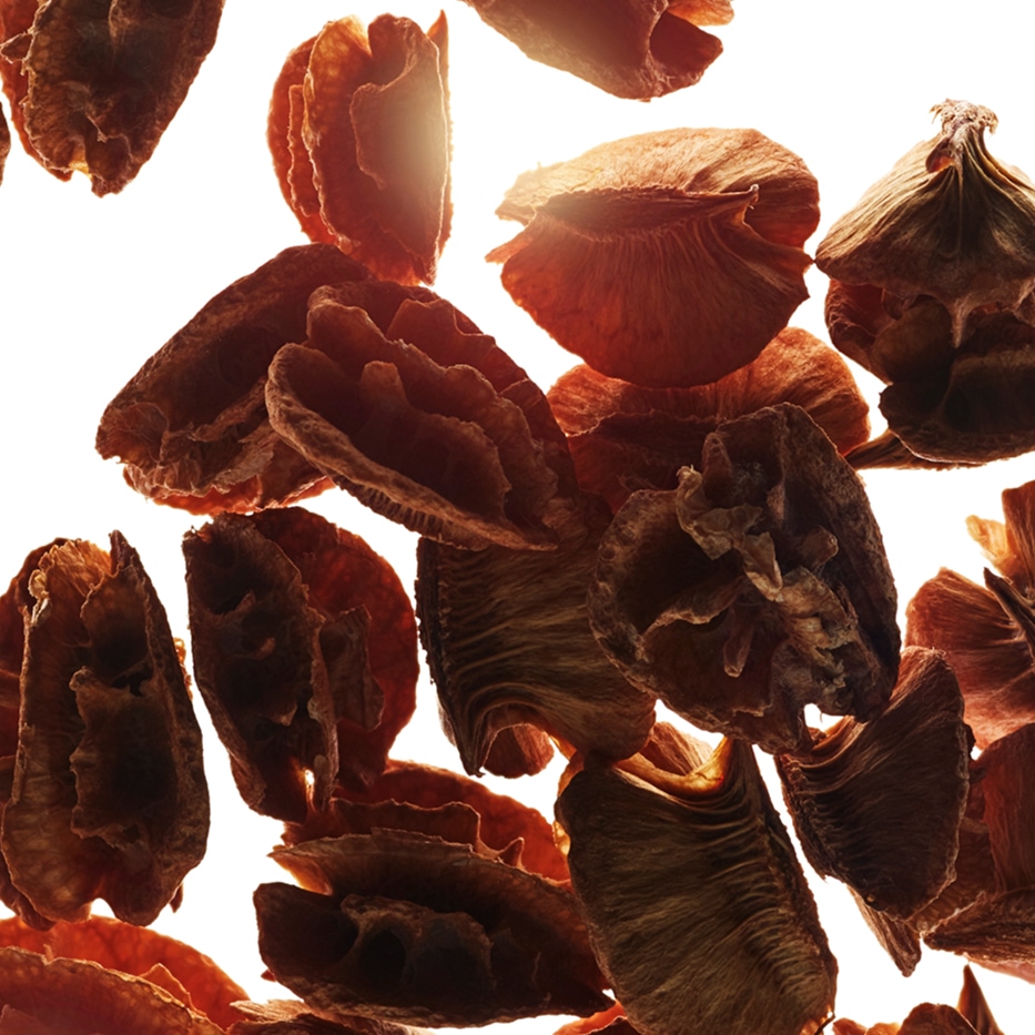 Acérola-Extrait de graine d’acérola-Malpighia emarginata (acerola) seed extract