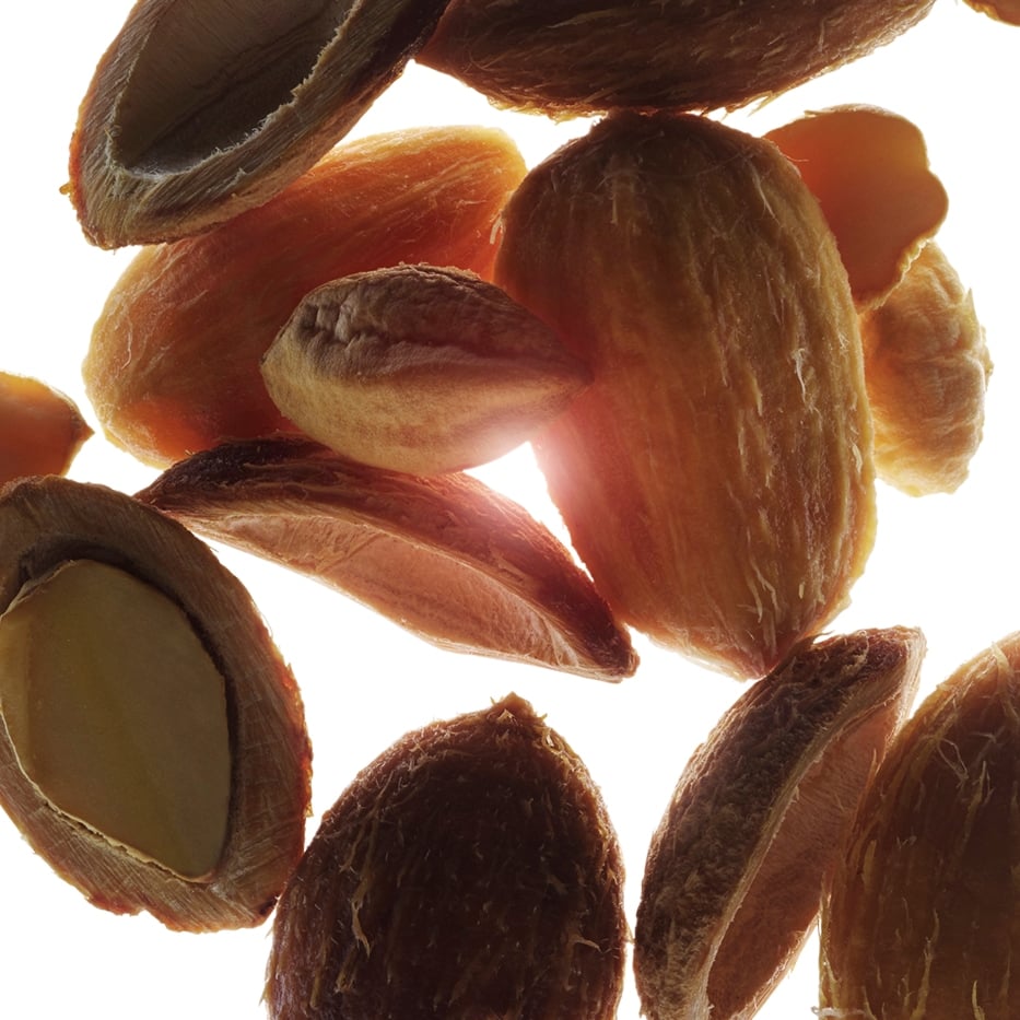 Dattier du désert-Extrait de dattier du désert bio-Balanites roxburghii seed oil