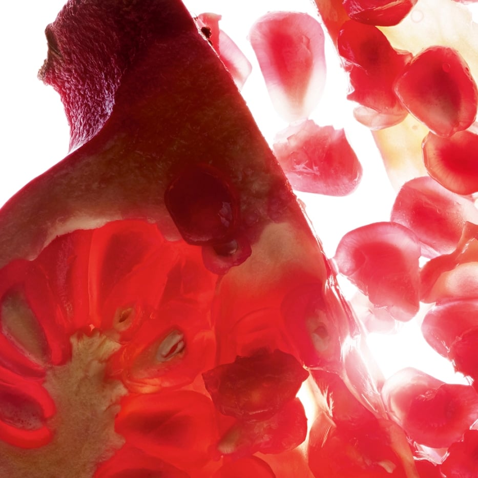 Grenadier-Extrait de grenade (plante bio)-Punica granatum bark extract