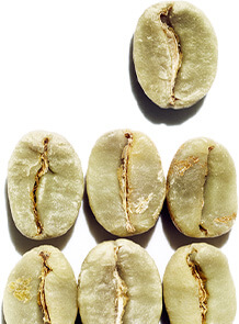 Caféine