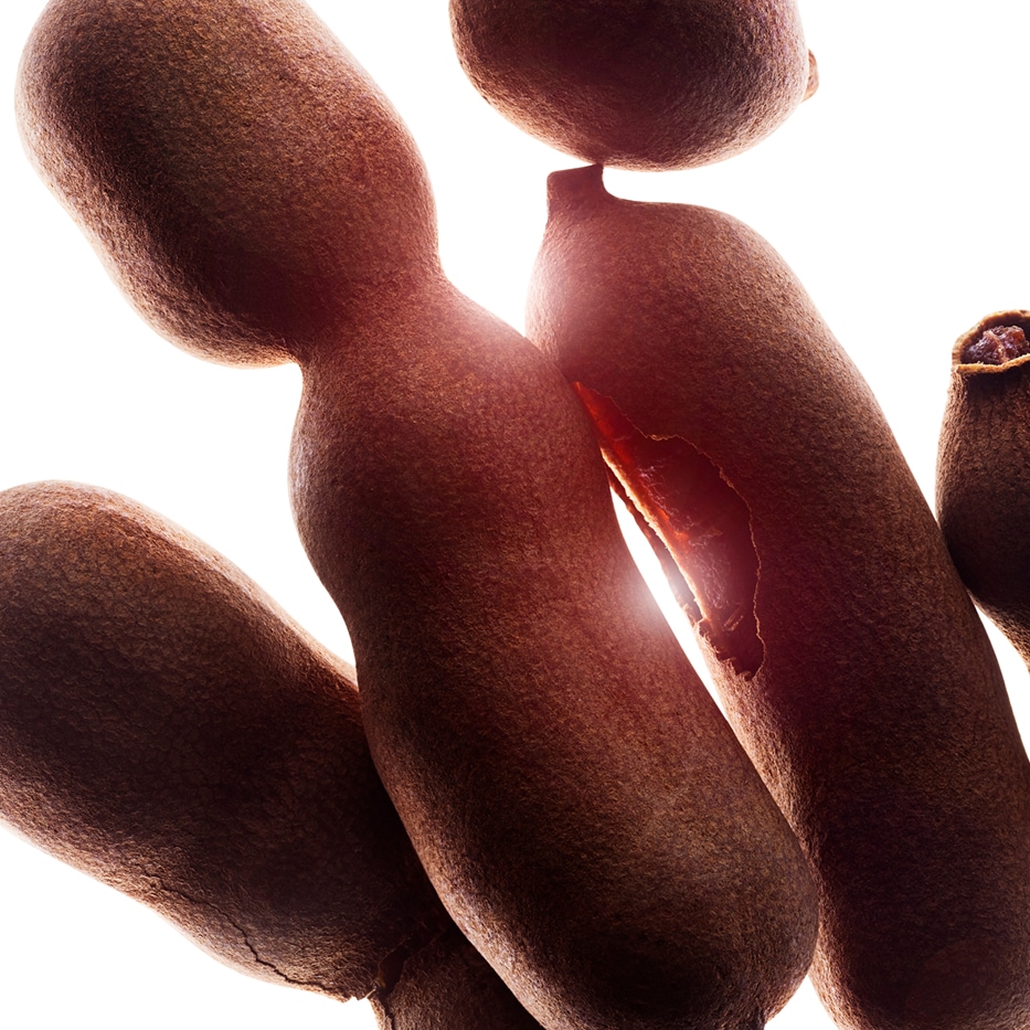 Tamarinier-Acides de pulpe de tamarin-Sorbic acid