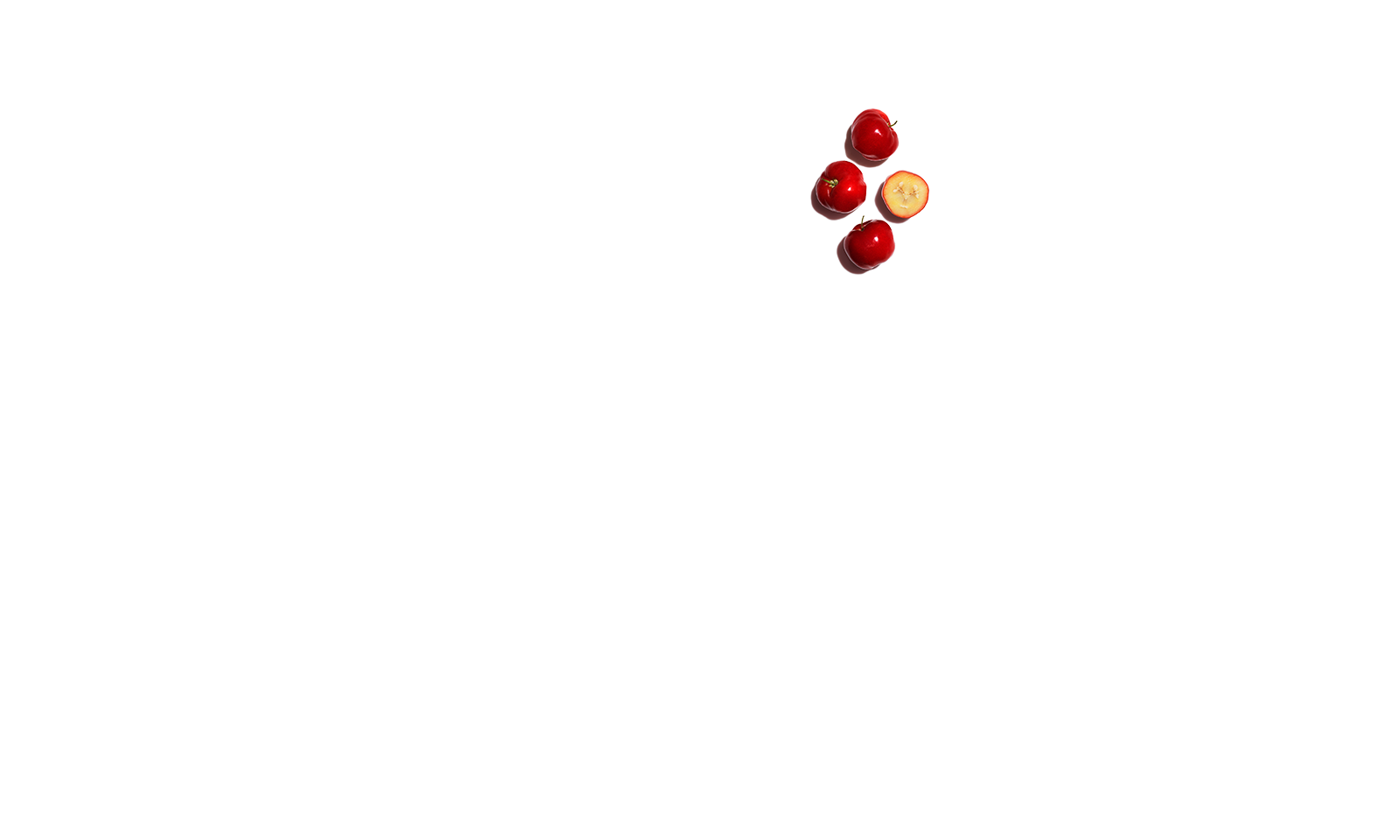 Graine d'acérola