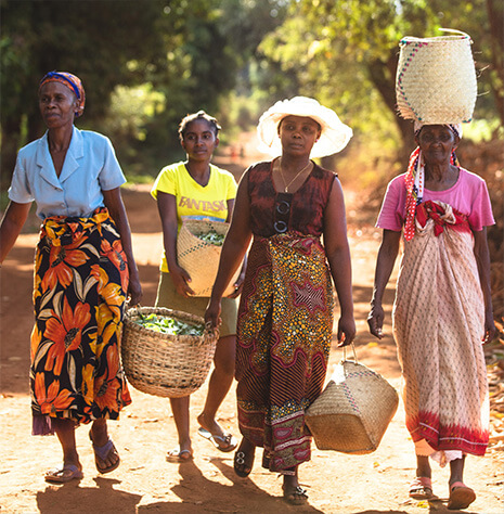 Photo de femmes portant des sacs