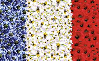 French Days - Clarins