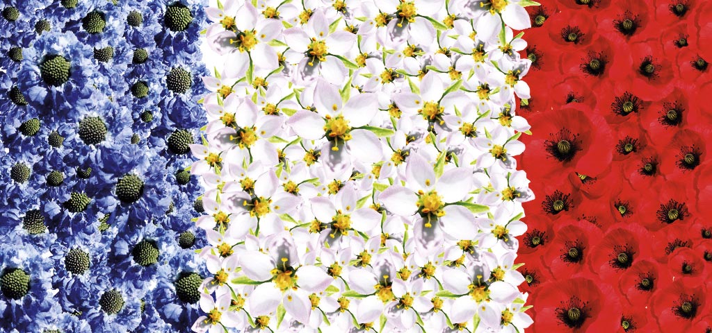 French Days - Clarins