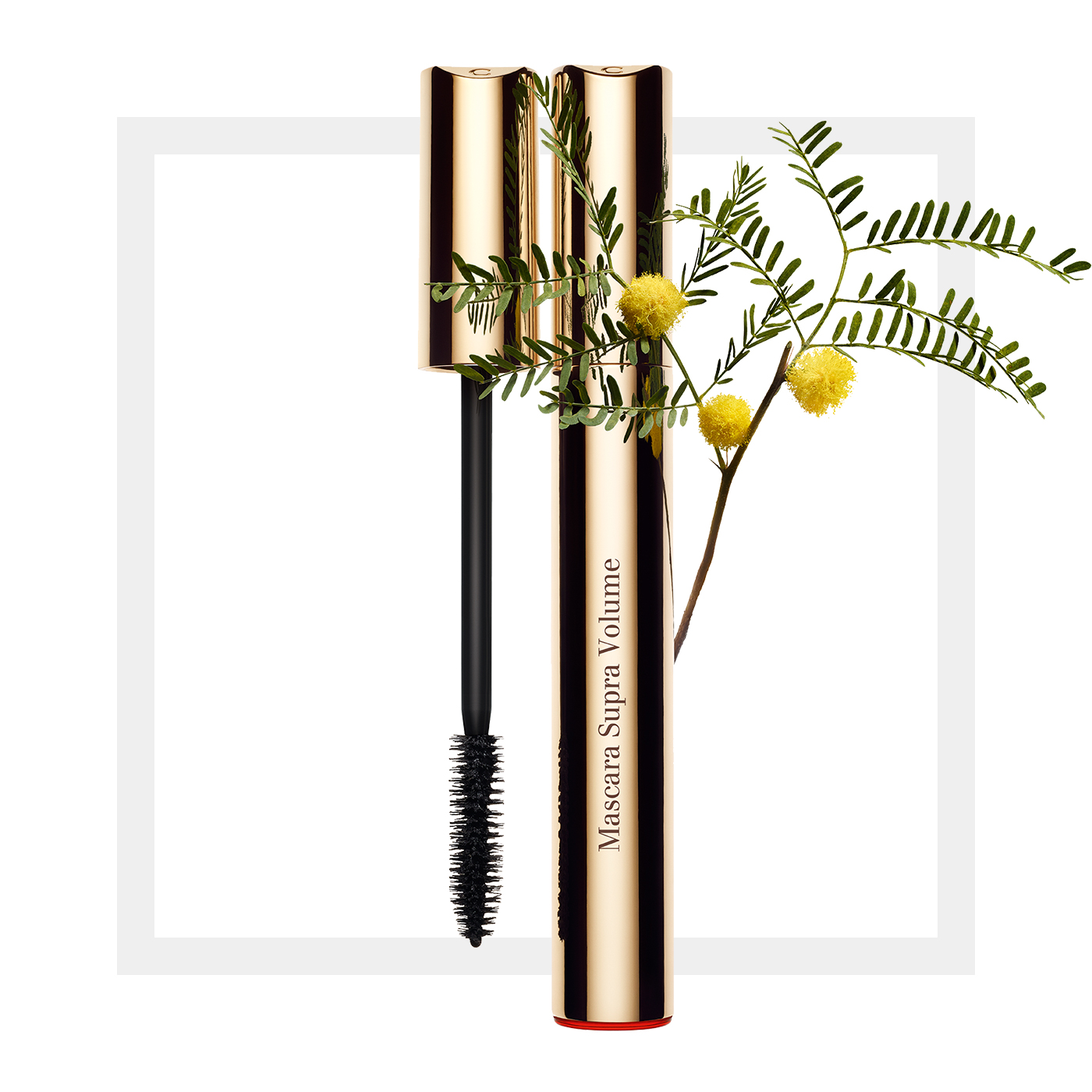 Mascara Volume, Mascaras Clarins